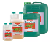 Canna Terra Vega