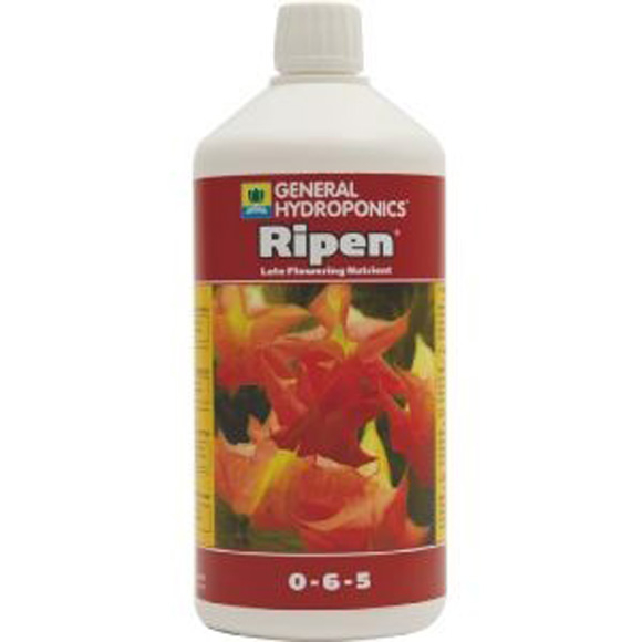 GHE Ripen / T.A. FinalPart