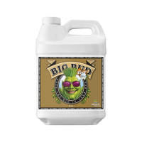 Advanced Nutrients Big Bud Coco Liquid